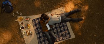 Movie still from “Rise of the Planet of the Apes” (2011), directed by Rupert Wyatt – Two people are laying on a blanket in the dark; Wide shot, Overhead angle