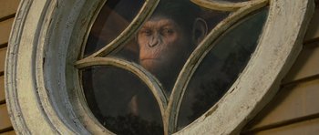 Movie still from “Rise of the Planet of the Apes” (2011), directed by Rupert Wyatt – A chimpanzees face through a window; Close Up shot, Low angle