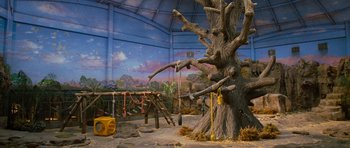 Movie still from “Rise of the Planet of the Apes” (2011), directed by Rupert Wyatt – A large tree in the middle of an indoor setting; Wide shot, Low angle