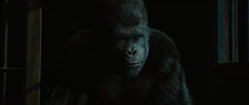 Movie still from “Rise of the Planet of the Apes” (2011), directed by Rupert Wyatt – A gorilla's face in the dark; Close Up shot, Low angle
