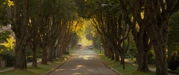 Movie still from “Rise of the Planet of the Apes” (2011), directed by Rupert Wyatt – A tree lined street with cars parked on the side of the road; Extreme Wide shot, High angle