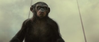 Movie still from “Rise of the Planet of the Apes” (2011), directed by Rupert Wyatt – A chimpanzees face is shown in a painting; Close Up shot, Low angle