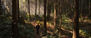 Movie still from “Rise of the Planet of the Apes” (2011), directed by Rupert Wyatt – A person walking through a forest with sunlight coming through the trees; Extreme Wide shot, High angle