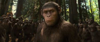 Movie still from “Rise of the Planet of the Apes” (2011), directed by Rupert Wyatt – A monkey in a forest; Close Up shot, Low angle