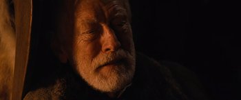 Movie still from “Robin Hood” (2010), directed by Ridley Scott – An old man with a beard and a mustache; Close Up shot, Over the shoulder angle