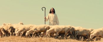 Movie still from “Benedetta” (2021), directed by Paul Verhoeven – A man with a beard and a long coat is standing in a field with a bunch of sheep; Wide shot, Low angle