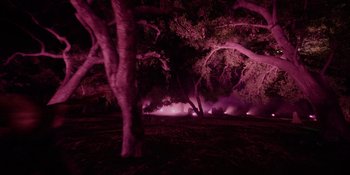 Movie still from “Savage x Fenty Show Vol. 4” (2022), directed by Alex Rudzinski – A tree is lit up in the dark by the light; Extreme Wide shot, High angle
