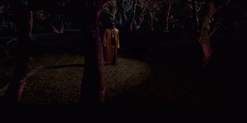 Movie still from “Savage x Fenty Show Vol. 4” (2022), directed by Alex Rudzinski – A man in a yellow robe standing next to a tree at night; Extreme Wide shot, High angle