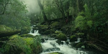 Movie still from “Sayen” (2023), directed by Alexander Witt – A person standing in a stream in a wooded area; Extreme Wide shot, High angle