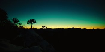 Movie still from “Sayen” (2023), directed by Alexander Witt – A lone tree on top of a hill at night; Extreme Wide shot, Low angle
