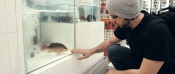Movie still from “Seaspiracy” (2021), directed by Ali Tabrizi – A man petting a rat in an enclosure; Medium shot, Over the shoulder angle