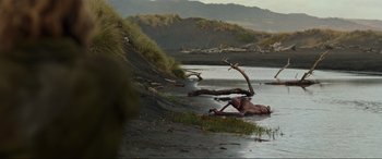 Movie still from “Shadow in the Cloud” (2020), directed by Roseanne Liang – An animal that is laying in the water; Extreme Wide shot, High angle