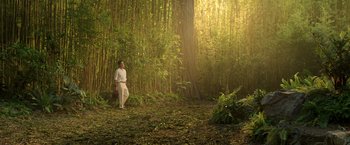 Movie still from “Shang-Chi and the Legend of the Ten Rings” (2021), directed by Destin Daniel Cretton – A man standing in the middle of a forest; Extreme Wide shot, Low angle
