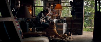 Movie still from “Shooter” (2007), directed by Antoine Fuqua – A man sitting in a room next to a brown dog; Wide shot, High angle