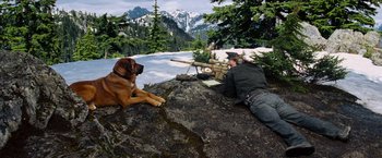 Movie still from “Shooter” (2007), directed by Antoine Fuqua – A man and a dog sitting on top of a rock; Wide shot, High angle