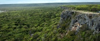 Movie still from “Shotgun Wedding” (2022), directed by Jason Moore – An aerial view of a lush green forest with trees; Extreme Wide shot, High angle