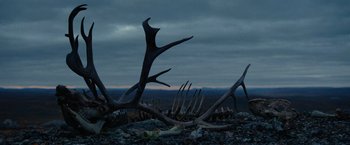 Movie still from “Sisu” (2022), directed by Jalmari Helander – Many different types of antlers on the ground; Wide shot, Low angle