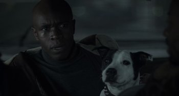 Movie still from “Snatch” (2000), directed by Guy Ritchie – A man and a dog are standing next to each other; Close Up shot, Low angle