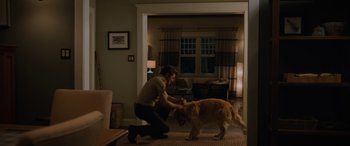 Movie still from “Sonic the Hedgehog” (2020), directed by Jeff Fowler – A man and a dog in a living room; Wide shot, Low angle
