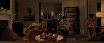 Movie still from “Sonic the Hedgehog” (2020), directed by Jeff Fowler – A woman sitting in a living room with a dog; Wide shot, High angle