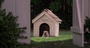 Movie still from “Space Jam” (1996), directed by Joe Pytka – A dog sitting in front of a doghouse in the grass; Extreme Wide shot, High angle