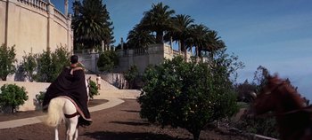 Movie still from “Spartacus” (1960), directed by Stanley Kubrick – Two people walking in a park near a palm tree; Extreme Wide shot, Low angle