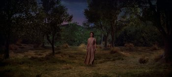 Movie still from “Spartacus” (1960), directed by Stanley Kubrick – A woman standing in the middle of a grassy field at night; Extreme Wide shot, High angle