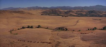 Movie still from “Spartacus” (1960), directed by Stanley Kubrick – An aerial view of a desert with a herd of cattle; Extreme Wide shot, High angle