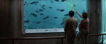 Movie still from “Star Trek IV: The Voyage Home” (1986), directed by Leonard Nimoy – A man standing in front of an aquarium looking at fish; Wide shot, Over the shoulder angle