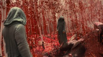 Movie still from “Star Trek Into Darkness” (2013), directed by J.J. Abrams – A man in a hooded cloak standing in the woods; Extreme Wide shot, High angle