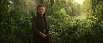 Movie still from “Star Wars: Episode IX - The Rise of Skywalker” (2019), directed by J.J. Abrams – A woman holding a sword in a forest; Medium shot, Low angle