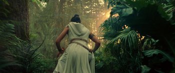 Movie still from “Star Wars: Episode IX - The Rise of Skywalker” (2019), directed by J.J. Abrams – A woman is standing in the middle of a forest; Wide shot, Low angle