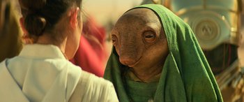 Movie still from “Star Wars: Episode IX - The Rise of Skywalker” (2019), directed by J.J. Abrams – An animal with a towel around its neck; Close Up shot, Over the shoulder angle