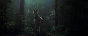 Movie still from “Stardust” (2007), directed by Matthew Vaughn – A white horse standing in the middle of a forest; Wide shot, Low angle