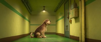 Movie still from “Strange World” (2022), directed by Don Hall – A brown and white dog sitting on the floor of a room; Wide shot, Low angle