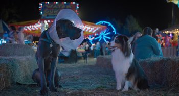 Movie still from “Strays” (2023), directed by Josh Greenbaum – Two dogs with a cone on their head at a carnival; Wide shot, Low angle