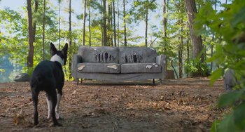 Movie still from “Strays” (2023), directed by Josh Greenbaum – A dog standing in front of a couch in the woods; Wide shot, Low angle