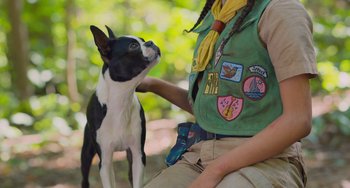 Movie still from “Strays” (2023), directed by Josh Greenbaum – A person petting a small black and white dog; Close Up shot, Over the shoulder angle