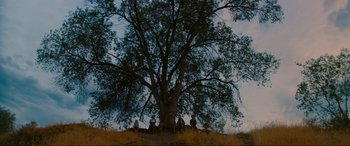 Movie still from “Summering” (2022), directed by James Ponsoldt – A group of people sitting under a large tree; Extreme Wide shot, Low angle
