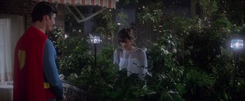 Movie still from “Superman” (1978), directed by Richard Donner – A woman standing in the middle of a garden at night; Medium shot, High angle