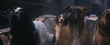 Movie still from “Superman” (1978), directed by Richard Donner – A group of dogs standing next to each other in a room; Wide shot, Low angle