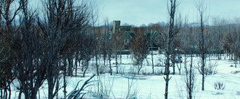 Movie still from “Teenage Mutant Ninja Turtles” (2014), directed by Jonathan Liebesman – A view of trees and buildings in the snow; Extreme Wide shot, High angle