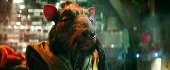Movie still from “Teenage Mutant Ninja Turtles” (2014), directed by Jonathan Liebesman – The face of an animal with long hair; Close Up shot, High angle