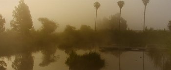 Movie still from “The Biggest Little Farm: The Return” (2022), directed by John Chester – A body of water surrounded by trees in the fog; Extreme Wide shot, Low angle