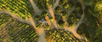 Movie still from “The Biggest Little Farm: The Return” (2022), directed by John Chester – An aerial view of a tree house in the middle of a forest; Extreme Wide shot, Overhead angle