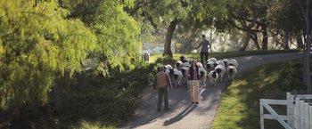 Movie still from “The Biggest Little Farm: The Return” (2022), directed by John Chester – A couple of people herding a herd of sheep down a road; Wide shot, High angle