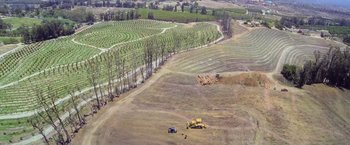 Movie still from “The Biggest Little Farm: The Return” (2022), directed by John Chester – An aerial view of an orchard and a field; Extreme Wide shot, High angle