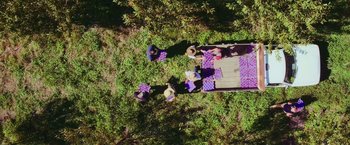 Movie still from “The Biggest Little Farm: The Return” (2022), directed by John Chester – An aerial view of people sitting on a picnic table; Extreme Wide shot, Overhead angle
