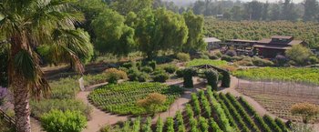 Movie still from “The Biggest Little Farm: The Return” (2022), directed by John Chester – An aerial view of a garden with many trees; Extreme Wide shot, High angle