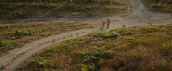 Movie still from “The Biggest Little Farm: The Return” (2022), directed by John Chester – Two people walking down a dirt road with a dog; Extreme Wide shot, High angle